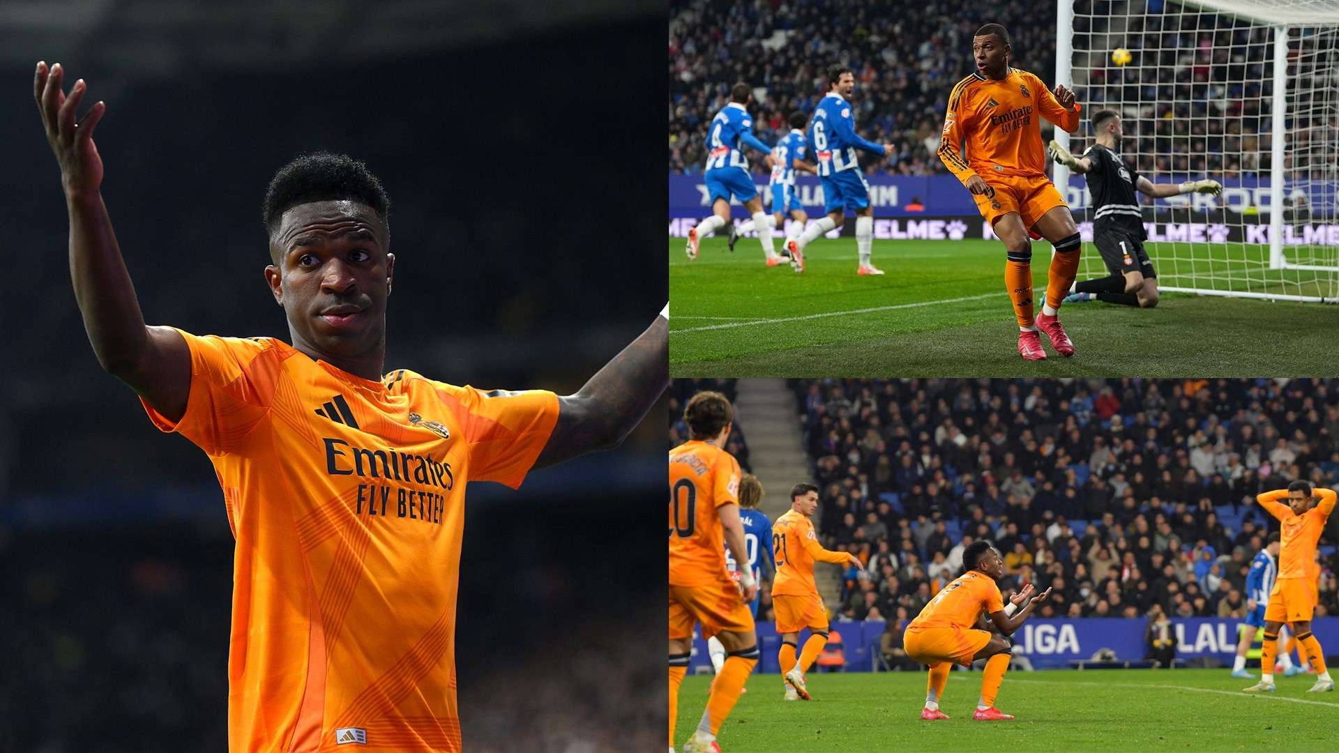 的特点制定 的特点制定